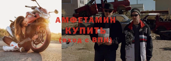 шишки Михайловск