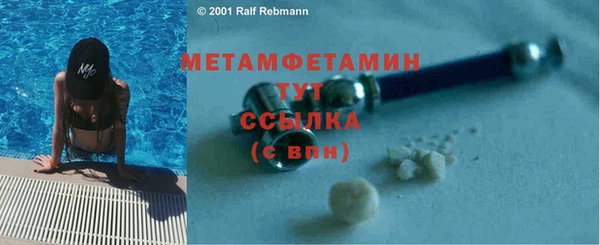 шишки Михайловск