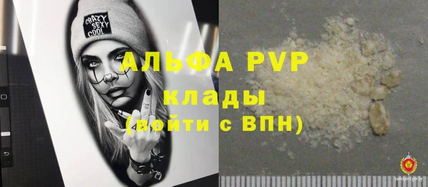 шишки Михайловск