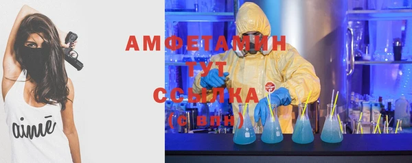 шишки Михайловск