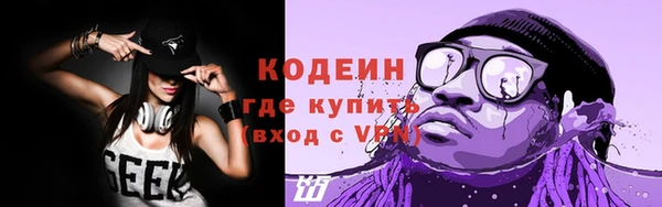 шишки Михайловск