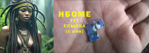 шишки Михайловск