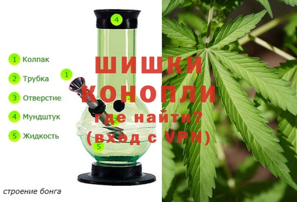 шишки Михайловск