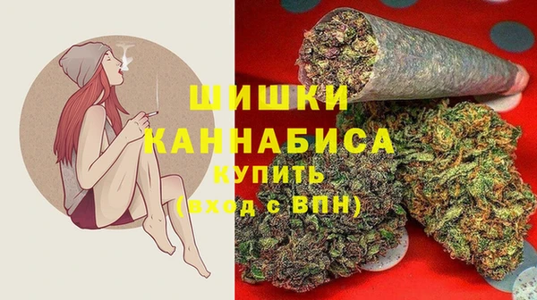 шишки Михайловск