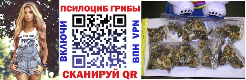 купить наркотик  Новое Девяткино  Псилоцибиновые грибы Cubensis 