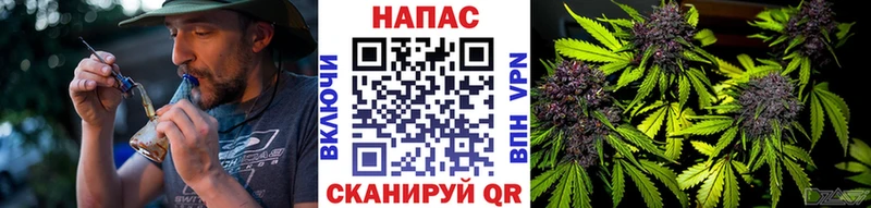что такое   Новое Девяткино  Бошки марихуана гибрид 